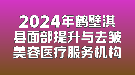 2024年鹤壁淇县面部提升与去皱美容医疗服务机构