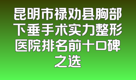 昆明市禄劝县胸部下垂手术实力整形医院排名前十口碑之选