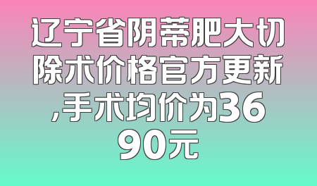 辽宁省阴蒂肥大切除术价格官方更新，手术均价为3690元