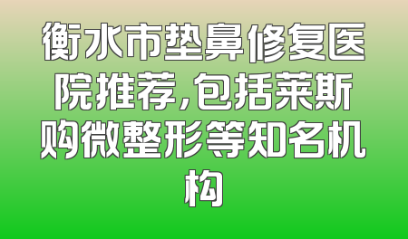 衡水市垫鼻修复医院推荐，包括莱斯购微整形等知名机构