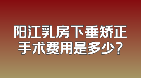 阳江乳房下垂矫正手术费用是多少？