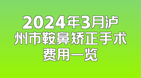 2024年3月泸州市鞍鼻矫正手术费用一览