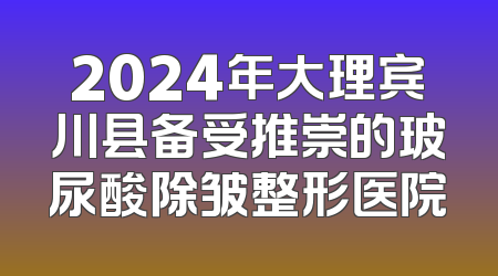 2024年大理宾川县备受推崇的玻尿酸除皱整形医院
