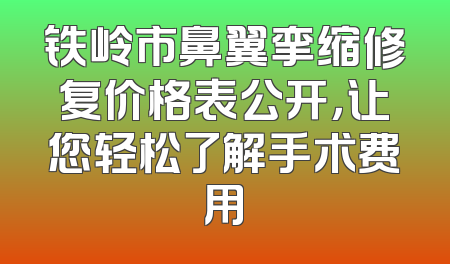 铁岭市鼻翼挛缩修复价格表公开，让您轻松了解手术费用