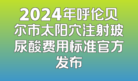 2024年呼伦贝尔市太阳穴注射玻尿酸费用标准官方发布