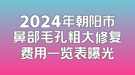 2024年朝阳市鼻部毛孔粗大修复费用一览表曝光