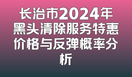 长治市2024年黑头清除服务特惠价格与反弹概率分析