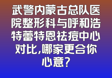 武警内蒙古总队医院整形科与呼和浩特蕾特恩祛痘中心对比，哪家更合你心意？