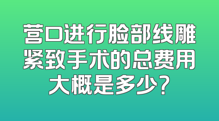 营口进行脸部线雕紧致手术的总费用大概是多少？