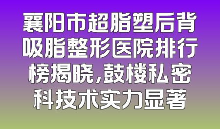 襄阳市超脂塑后背吸脂整形医院排行榜揭晓，鼓楼私密科技术实力显著