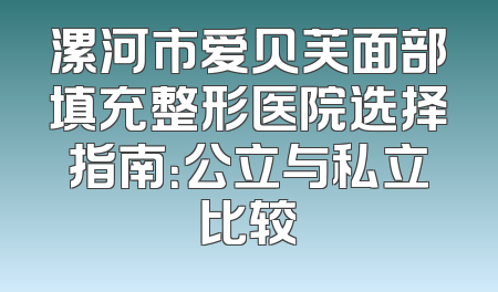 漯河市爱贝芙面部填充整形医院选择指南：公立与私立比较
