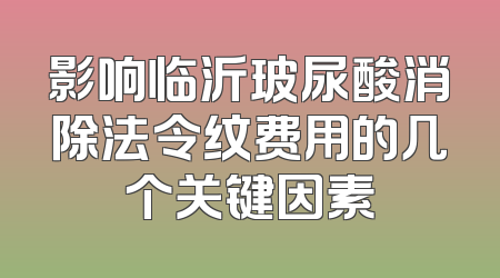影响临沂玻尿酸消除法令纹费用的几个关键因素