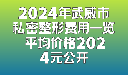 2024年武威市私密整形费用一览 平均价格2024元公开