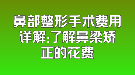 鼻部整形手术费用详解：了解鼻梁矫正的花费