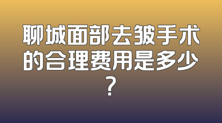 聊城面部去皱手术的合理费用是多少？
