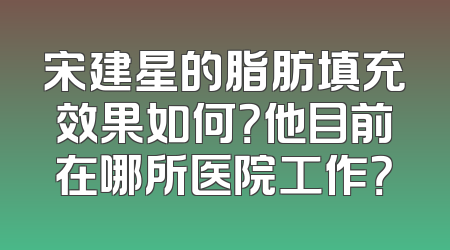 宋建星的脂肪填充效果如何？他目前在哪所医院工作？
