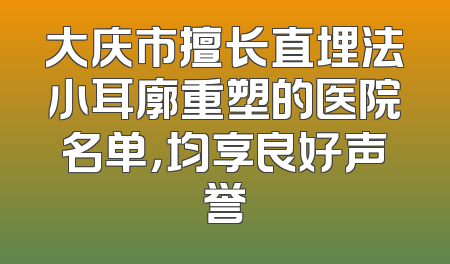 大庆市擅长直埋法小耳廓重塑的医院名单，均享良好声誉