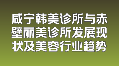 咸宁韩美诊所与赤壁丽美诊所发展现状及美容行业趋势