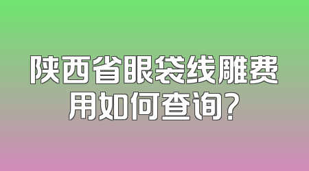 陕西省眼袋线雕费用如何查询？