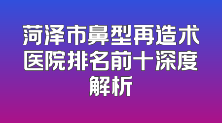 菏泽市鼻型再造术医院排名前十深度解析