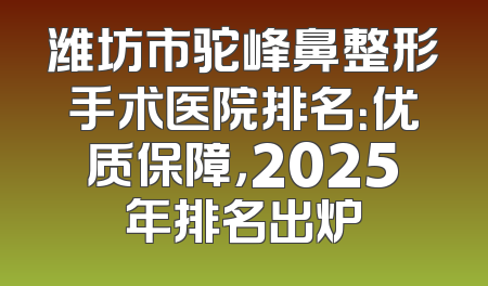 潍坊市驼峰鼻整形手术医院排名：优质保障，2025年排名出炉