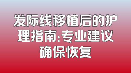 发际线移植后的护理指南：专业建议确保恢复