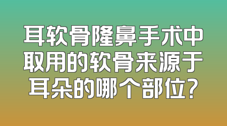 耳软骨隆鼻手术中取用的软骨来源于耳朵的哪个部位？