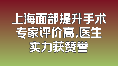 上海面部提升手术专家评价高，医生实力获赞誉