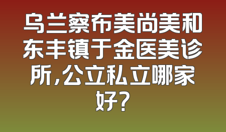 乌兰察布美尚美和东丰镇于金医美诊所，公立私立哪家好？