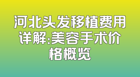 河北头发移植费用详解：美容手术价格概览