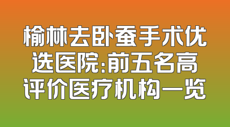 榆林去卧蚕手术优选医院：前五名高评价医疗机构一览