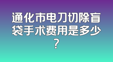 通化市电刀切除盲袋手术费用是多少？