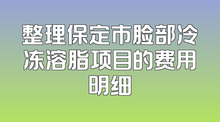 整理保定市脸部冷冻溶脂项目的费用明细