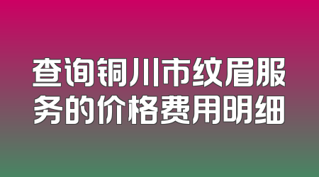 查询铜川市纹眉服务的价格费用明细