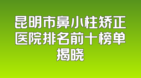 昆明市鼻小柱矫正医院排名前十榜单揭晓