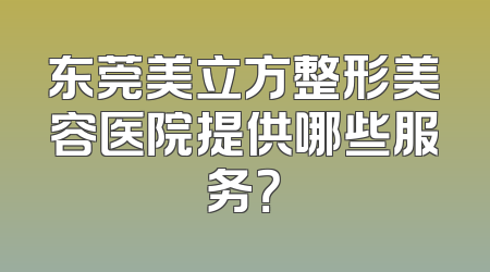 东莞美立方整形美容医院提供哪些服务？