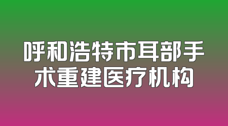 呼和浩特市耳部手术重建医疗机构