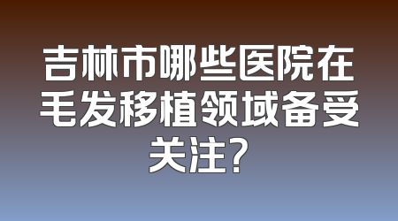 吉林市哪些医院在毛发移植领域备受关注？