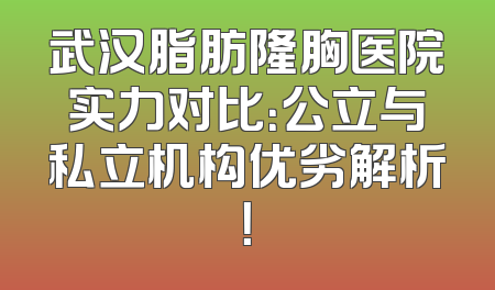 武汉脂肪隆胸医院实力对比：公立与私立机构优劣解析！