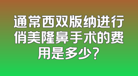 通常西双版纳进行俏美隆鼻手术的费用是多少？