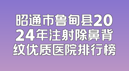 昭通市鲁甸县2024年注射除鼻背纹优质医院排行榜
