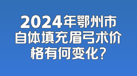 2024年鄂州市自体填充眉弓术价格有何变化？