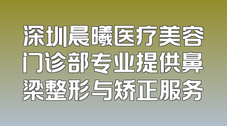 深圳晨曦医疗美容门诊部专业提供鼻梁整形与矫正服务