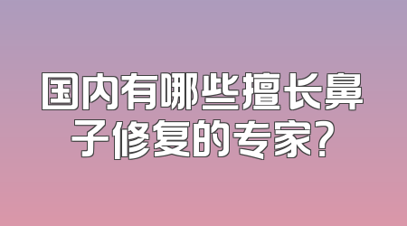 国内有哪些擅长鼻子修复的专家？