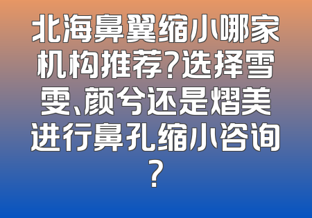 北海鼻翼缩小哪家机构推荐？选择雪雯、颜兮还是熠美进行鼻孔缩小咨询？