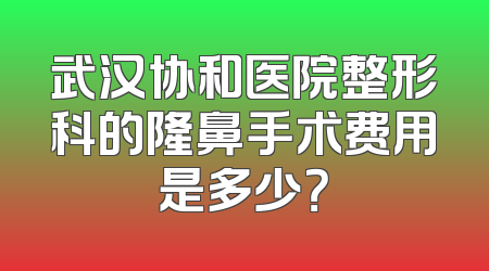 武汉协和医院整形科的隆鼻手术费用是多少？