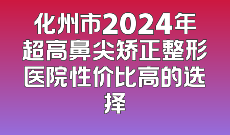 化州市2024年超高鼻尖矫正整形医院性价比高的选择