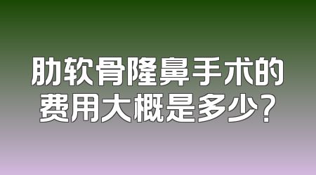 肋软骨隆鼻手术的费用大概是多少？