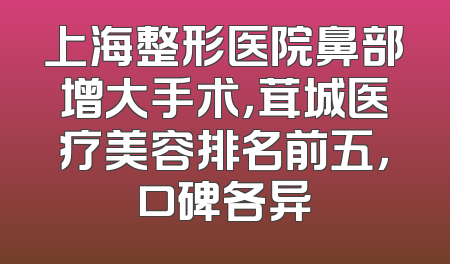 上海整形医院鼻部增大手术，茸城医疗美容排名前五，口碑各异