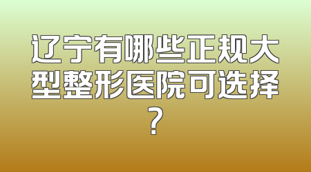 辽宁有哪些正规大型整形医院可选择？
